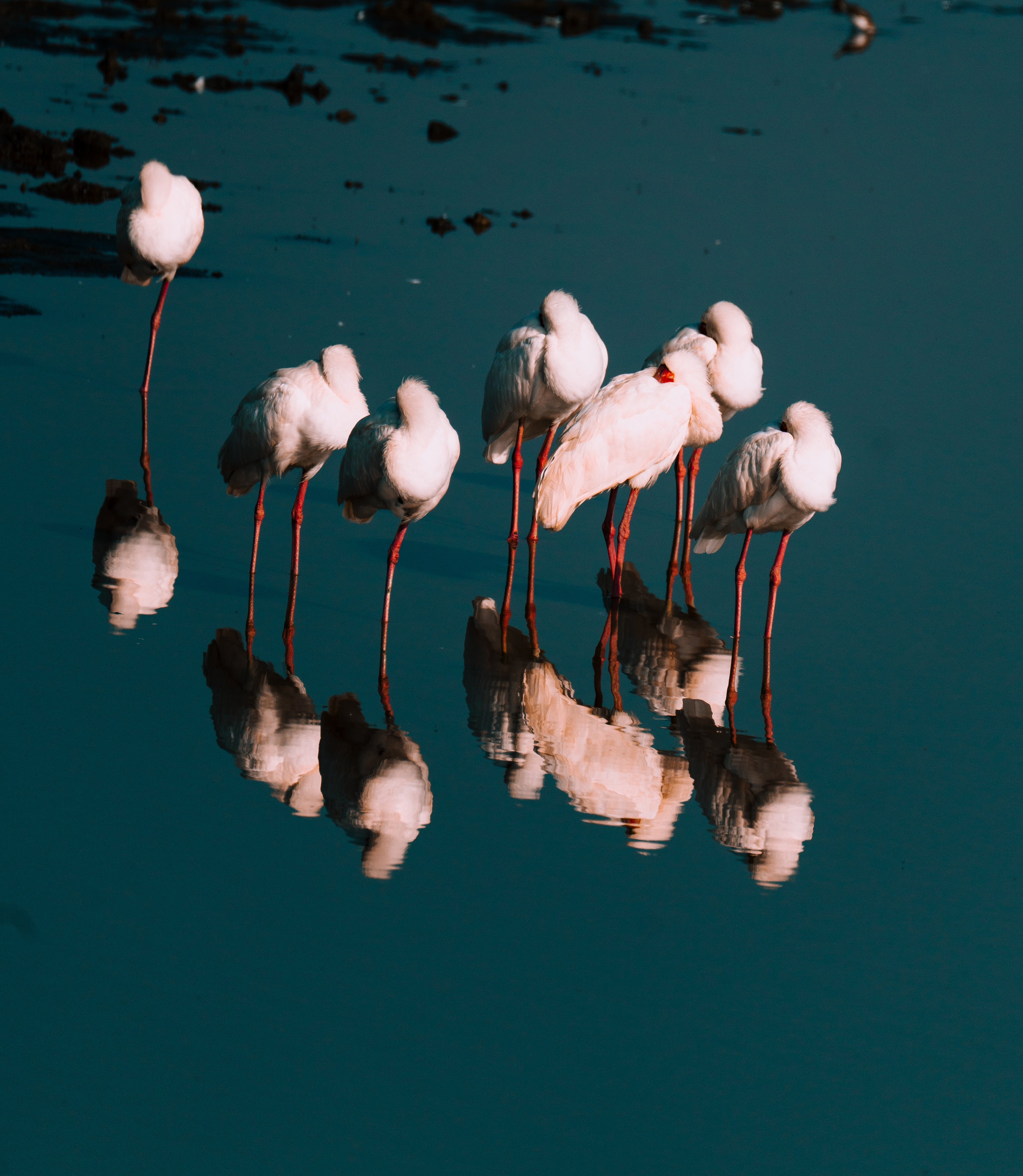Lake Nakuru National Park