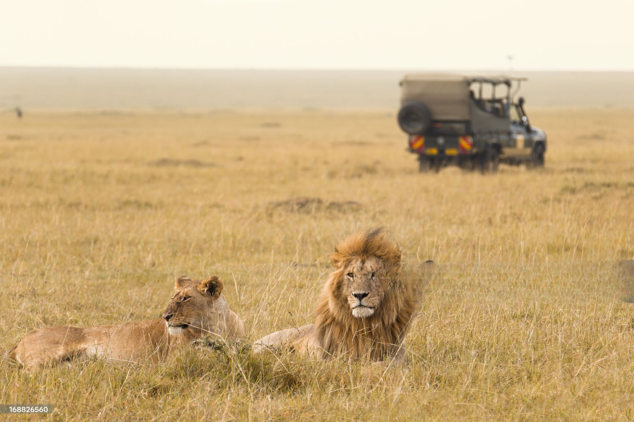 4 Days Masai Mara Balloon Safari